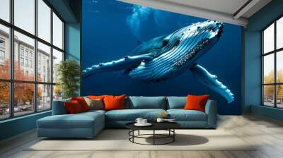 A humpback whale is swimming in the ocean. Wall mural