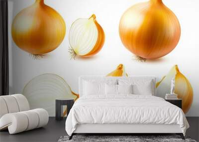 A set of four different types of onions on a white background Wall mural