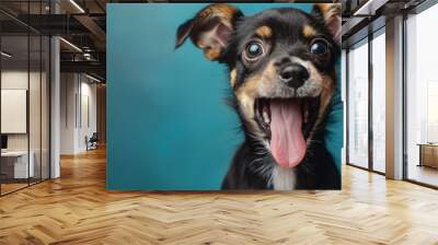 A small black and brown dog with its tongue out. Wall mural