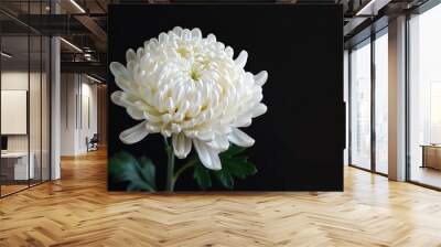 A white flower is shown against a black background. Wall mural