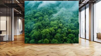 An aerial view of a green forest with mist. Wall mural