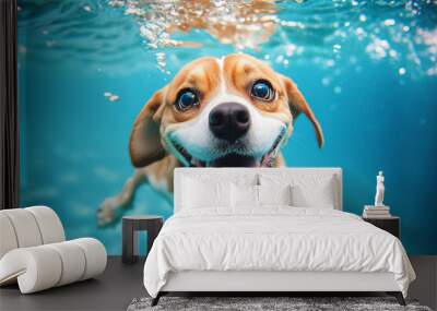 photo of a cute and happy smiling beagle swimming underwater with beautiful blue water Wall mural