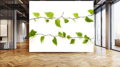 leaves isolated on white background, Generative AI  Wall mural