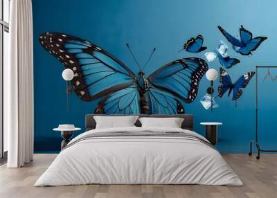 butterfly on blue  Wall mural