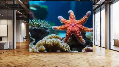 starfish in the sea Wall mural