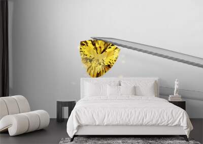 Brilliant Trillion Cut Citrine Gemstone Wall mural