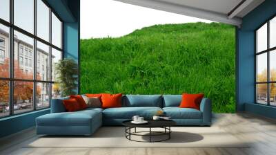 green grass isolated  Wall mural