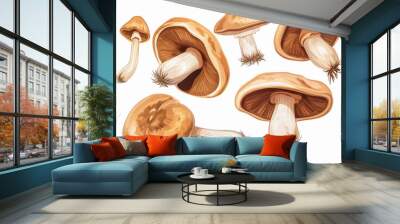 Brown champignon, set of pieces of Portobello mushroom isolated on white background Wall mural