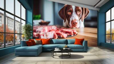 Portrait of cute brown and white dog eating and enjoying healthy raw meat with bones, raw food diet for dogs Wall mural