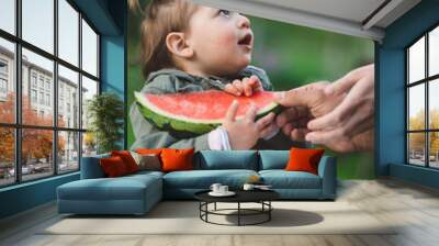 The baby is trying a new taste of solid food. Eating healthy food from the beginning is important. Young child doesn't want to eat vegetable and fruit. Wall mural