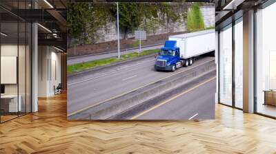 Blue day cab semi truck with dry van trailer moving on highway with wall growing green plants Wall mural