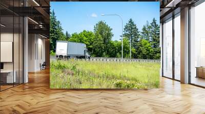 Day cab big rig semi truck with long box trailer and roof spoiler running on the local road with green trees and grass on the hill Wall mural