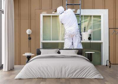 House painter paints the facade of a house standing on a ladder Wall mural