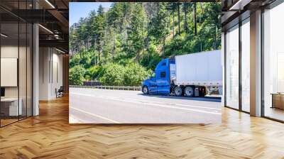 Long haul blue big rig semi truck transporting cargo in dry van semi trailer running on the highway road in Columbia Gorge Wall mural