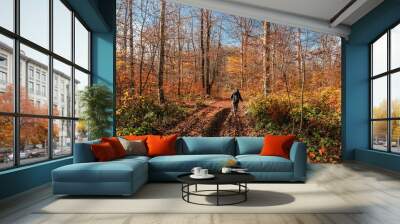 A tourist with a backpack in the middle of an autumn forest. Autumn landscape with tall trees and warm light illuminating the golden foliage. Trees in the autumn forest on a bright sunny day. Wall mural