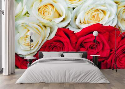 Gorgeous close-up roses. A bouquet of white and red fresh roses. Floral red and white background of beautiful roses. Wall mural