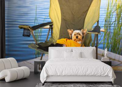 A small Yorkshire Terrier dog lies on a folding chair on a wooden bridge by a river. A doggie in a yellow sweatshirt is resting outdoors near lake with calm water in autumn, spring. Recreation concept Wall mural