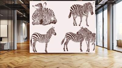 Graphical vintage collection of zebras , tattoo and printing illustration Wall mural