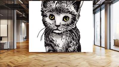 Vector color drawing of kitten,graphical  domestic pet,illustration for design and books Wall mural