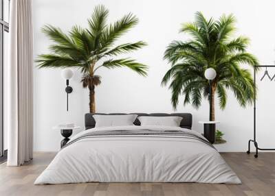 Design element isolated for layout on transparent background. Set of tropical palm trees (сoconut, sugar, аcai, date) 3D realistic jungle plant.  Wall mural