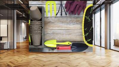 Garden tools, cardboard pots and seedling on wooden plank backgr Wall mural