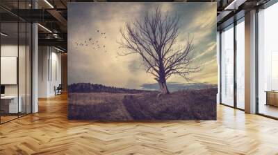 Gloomy autumn landscape in vintage processing Wall mural