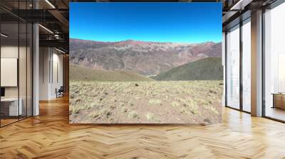 The gorge and colorful rocks of the Serranía de Hornocal Wall mural