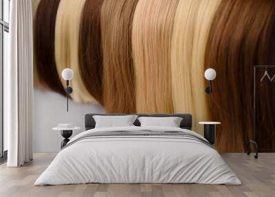 Selective focus ,hair extension equipment of natural hair. hair samples of different colors.Beautiful healthy shiny  Colors Palette. Hair Texture. Wall mural