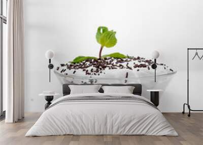 Tiramisu on white background Wall mural