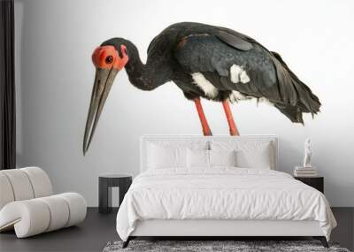 majestic jabiru stork, characterized by its impressive stature, stands with its long neck extended and sharp beak forward, isolated on a clean, white backdrop, highlighting its features. Wall mural