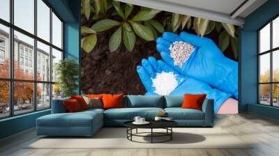 Hands of a gardener with two kinds of fertilizer near bushes of flowers. Fertilizing plants for better growing Wall mural