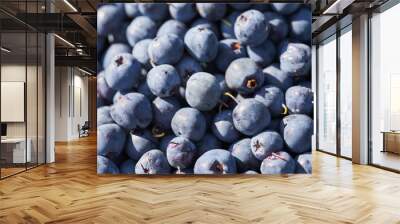 Fresh blueberry background. Texture blueberry berries close up Wall mural