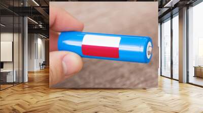 Rechargeable li-ion battery in hand of a man with sticker of Poland flag. Produce lithium batteries in Poland concept Wall mural