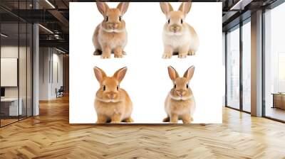 Set of cute Easter bunnies isolated on transparent background. Wall mural