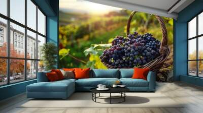 basket of grapes on the ground in a vineyard during the grape harvest autumn concept Wall mural