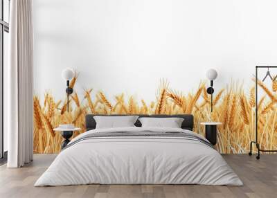 Summer landscape of wheat field isolated on transparent background.  Wall mural