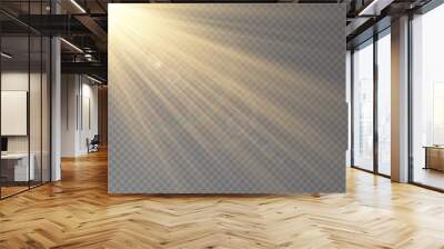 Vector transparent sunlight special lens flare light effect. Wall mural