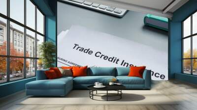 Trade credit insurance application form for signing. Wall mural