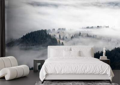 Landscape with high mountains. Fields and meadow are covered with morning fog and dew. Forest of the pine trees. The early morning mist. Natural scenery. Wall mural