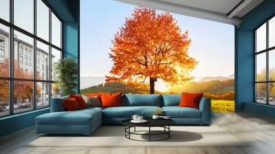 On the lawn covered with leaves at the high mountains there is a lonely nice lush strong tree and the sun rays lights through the branches with the background of blue sky. Beautiful autumn scenery. Wall mural