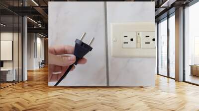 Hand holding power cable which doesnt feet to the electrical plug type B. Wall mural