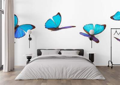 Blue flying butterflies. Wall mural