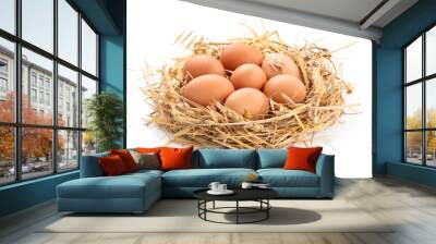 Chicken eggs in nest. Wall mural