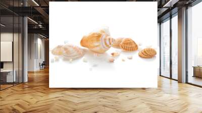 closeup of seashells. Wall mural