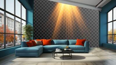 Golden light. A flash of light, a magical glow. Sun, sun rays png. Light png. Vector image. Wall mural