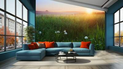 Landscape with dandelion in grass over sunrise Wall mural