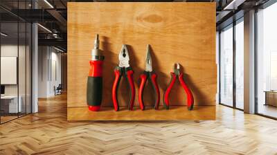 The work of an engineer. Tools for repair. Home repairs. Wall mural