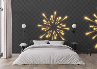 Vector festive fireworks on a transparent background. Fireworks png, festive light png. Magic fireworks lights. Christmas light. Wall mural