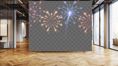 Vector fireworks. Multicolored fireworks on isolated transparent background. Fireworks png. Holiday fireworks. Festive background. Wall mural