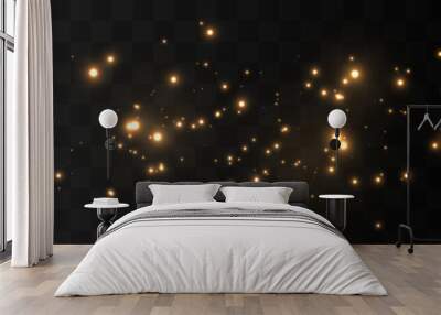 Vector magic glow. Sparkling light, sparkle dust png. Sparkling magical dust. Christmas light. Wall mural